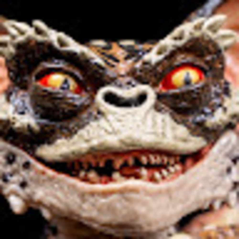 Meet your Posher, Peter